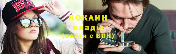 индика Корсаков