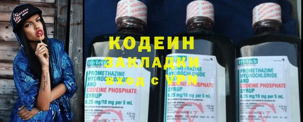 индика Корсаков