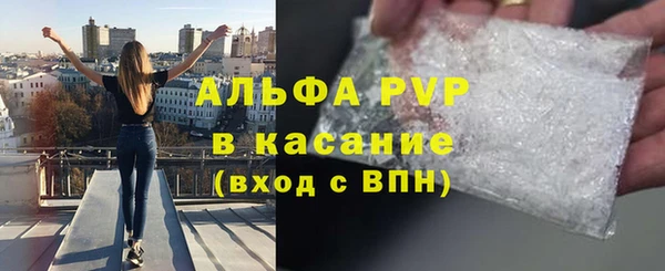 индика Корсаков
