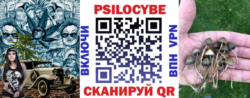 Псилоцибиновые грибы мухоморы  ссылка на мегу как войти  Норильск 