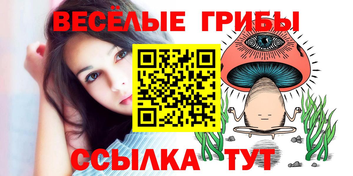 Норильск  Галлюциногенные грибы ЛСД  Вход с VPN 