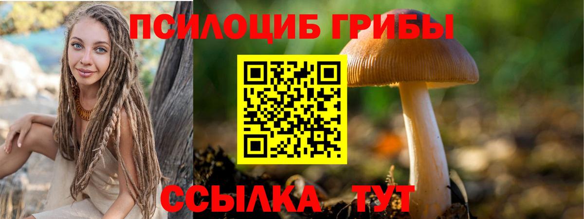 Галлюциногенные грибы Magic Shrooms Норильск