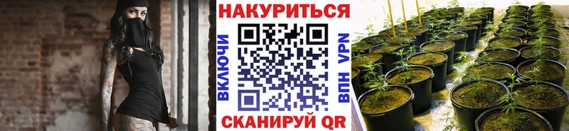 Шишки марихуана гибрид  купить наркоту  Норильск 
